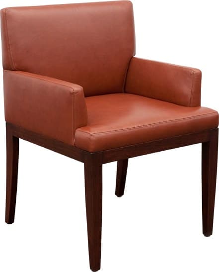 Anita Dining Chair on a white background